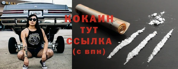 МДПВ Заводоуковск