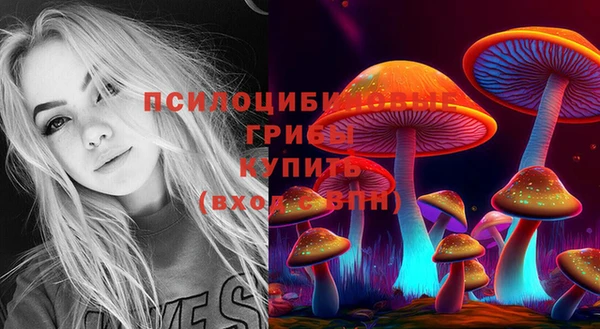 альфа пвп Заволжье