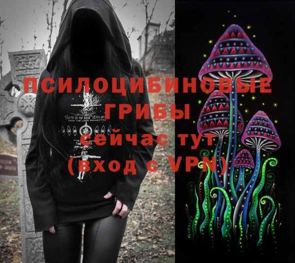 МДПВ Заводоуковск