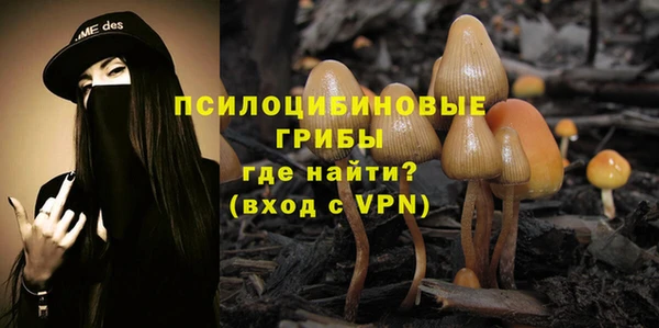 МДПВ Заводоуковск