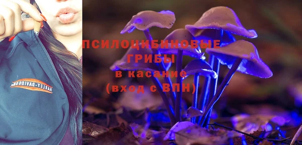 МДПВ Заводоуковск