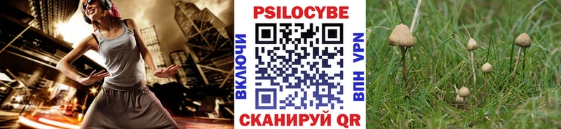 Псилоцибиновые грибы GOLDEN TEACHER  Камень-на-Оби 
